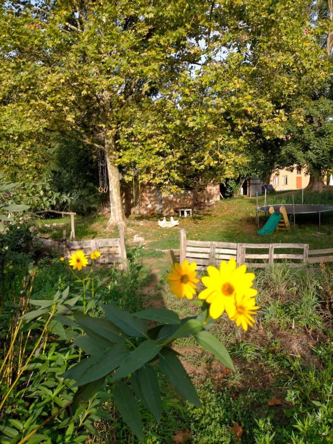 Albergue Del Oso Tierraluz Arbúcies Εξωτερικό φωτογραφία