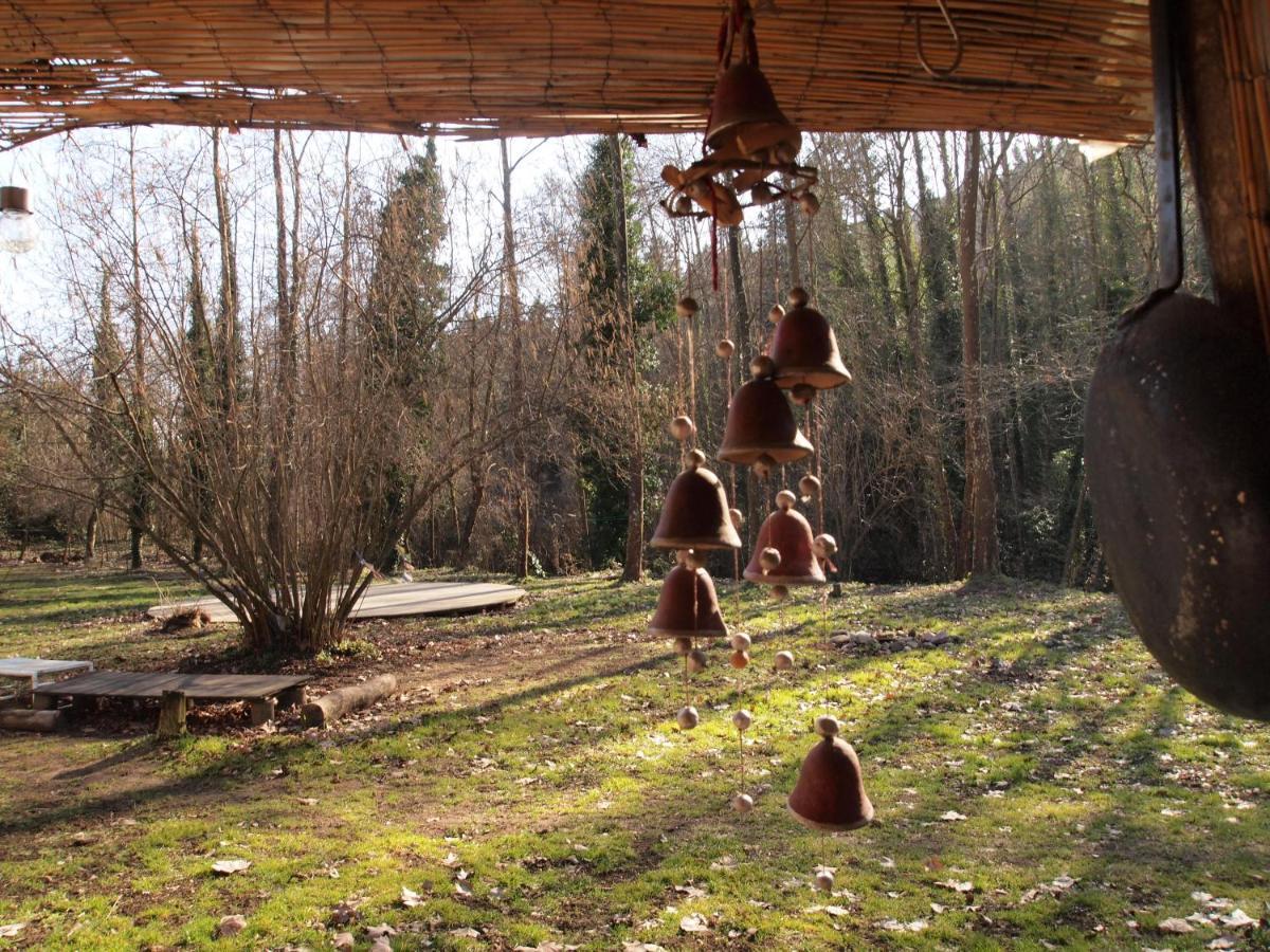 Albergue Del Oso Tierraluz Arbúcies Εξωτερικό φωτογραφία